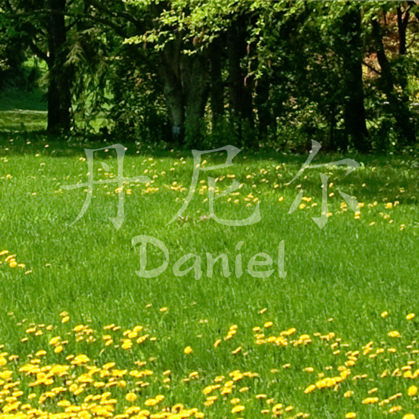 Chinese Name Symbols "Daniel"