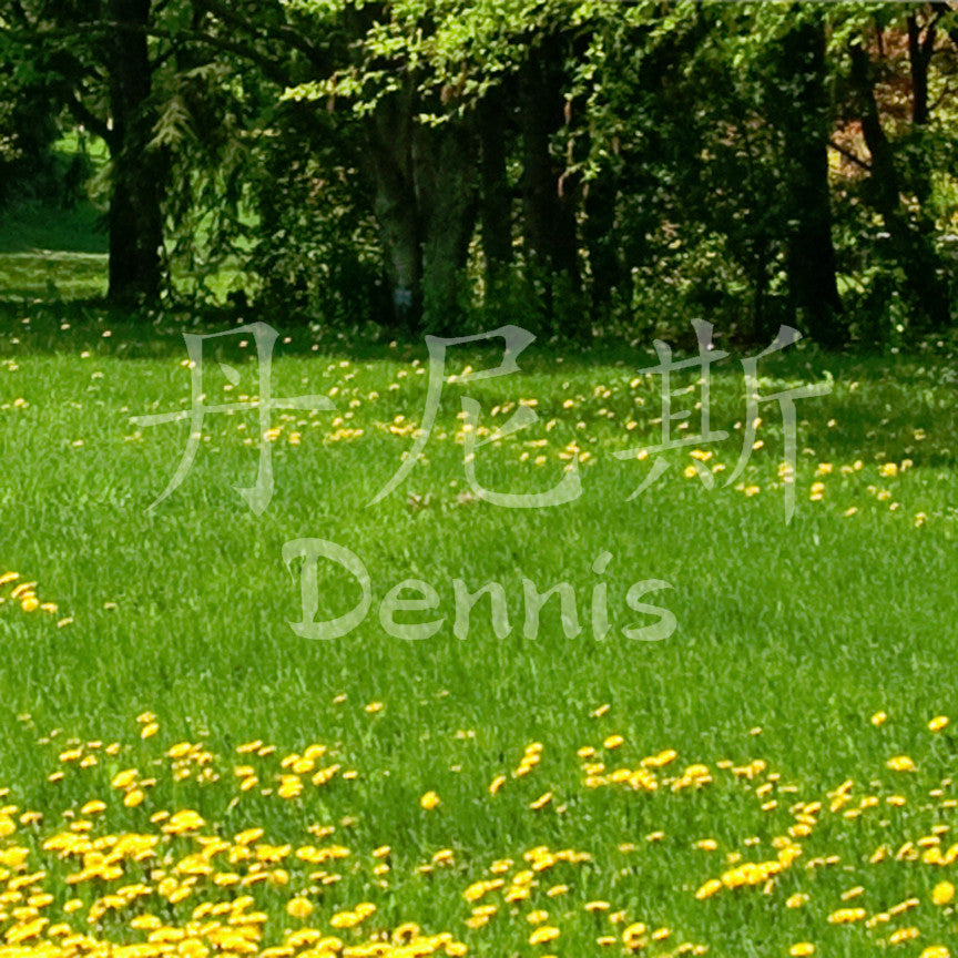 Chinese Name Symbols "Dennis"