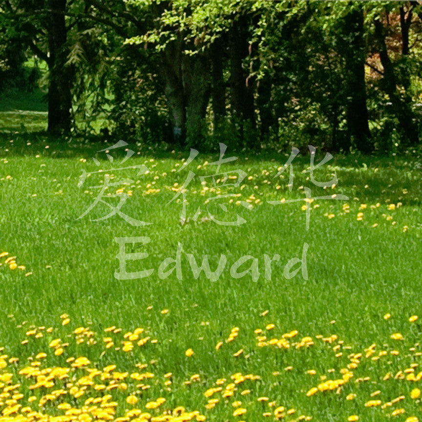 Chinese Name Symbols "Edward"