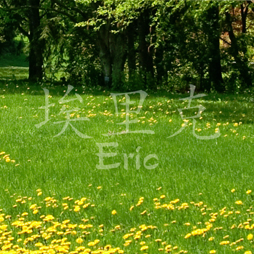 Chinese Name Symbols "Eric"