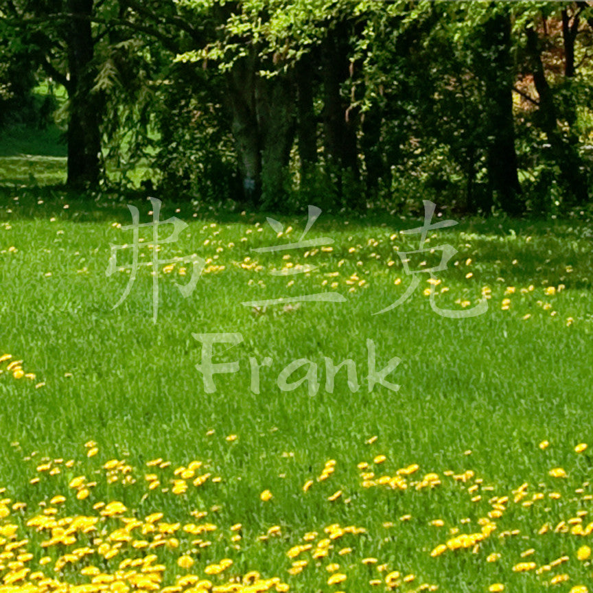 Chinese Name Symbols "Frank"