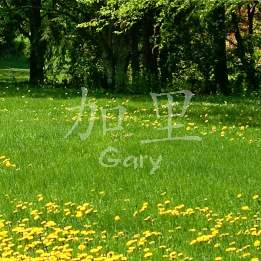 Chinese Name Symbols "Gary"