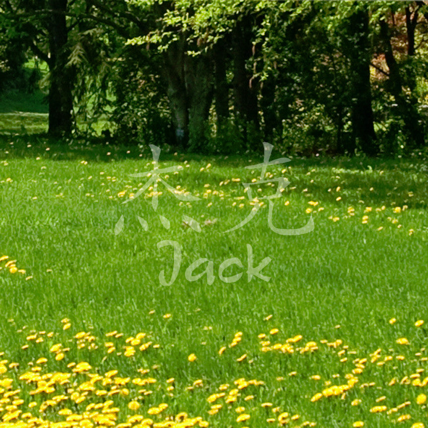 Chinese Name Symbols "Jack"