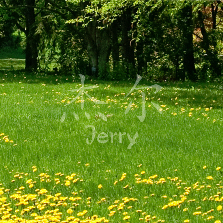 Chinese Name Symbols "Jerry"