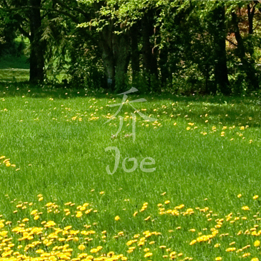 Chinese Name Symbols "Joe"
