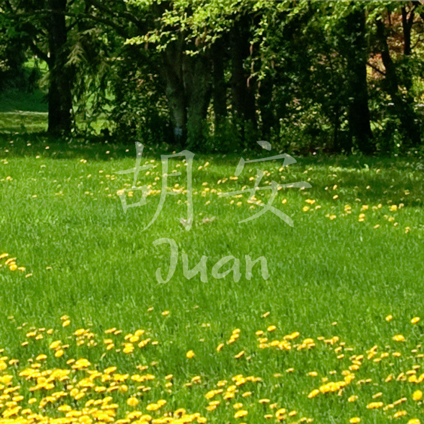 Chinese Name Symbols "Juan"