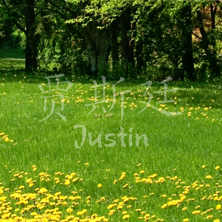 Chinese Name Symbols "Justin"