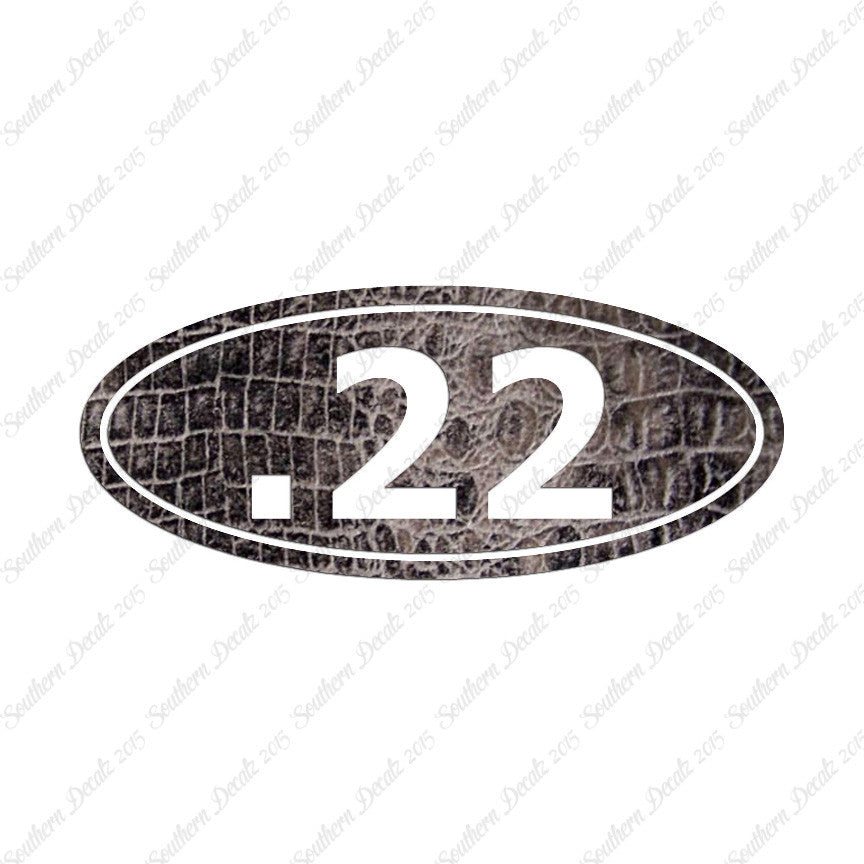Ammo .22 Pistol