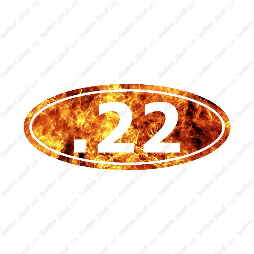 Ammo .22 Pistol