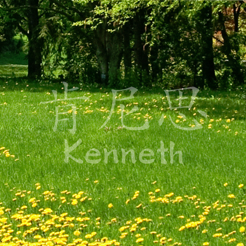 Chinese Name Symbols "Kenneth"