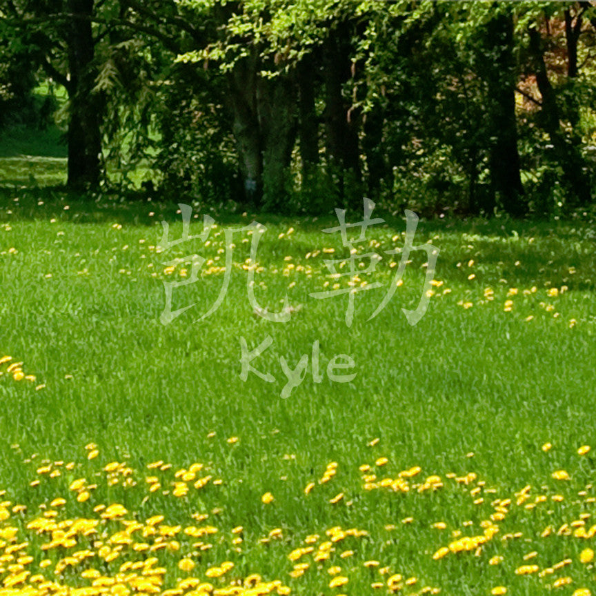 Chinese Name Symbols "Kyle"