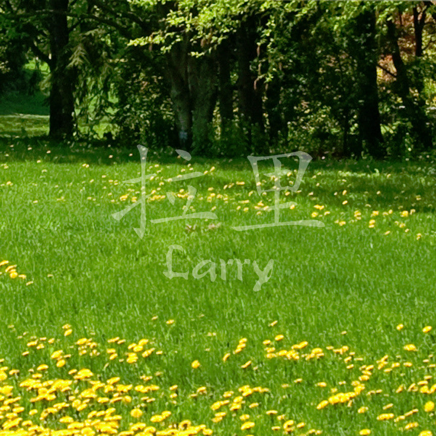 Chinese Name Symbols "Larry"
