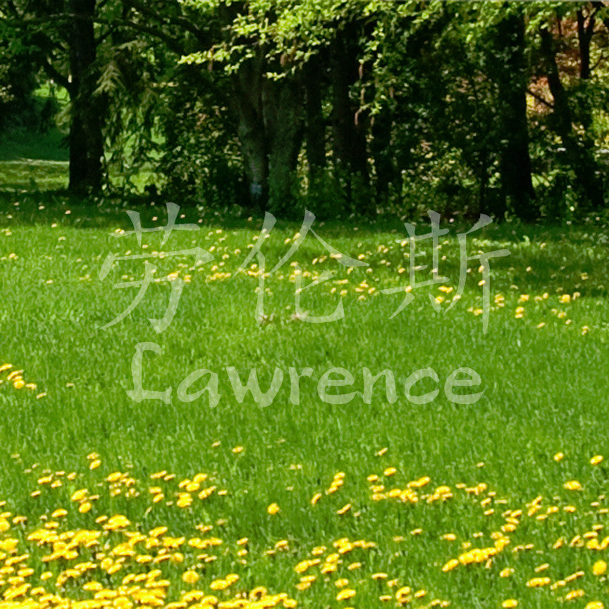 Chinese Name Symbols "Lawrence"
