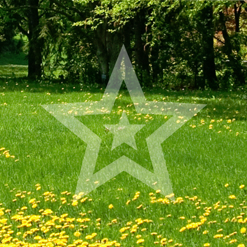 Star Inside A Star