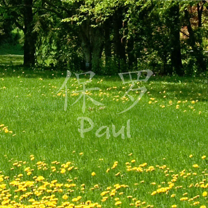 Chinese Name Symbols "Paul"