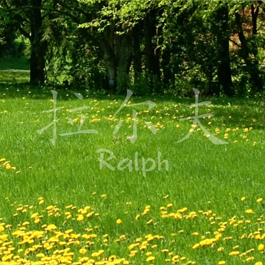 Chinese Name Symbols "Ralph"