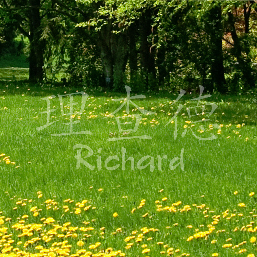 Chinese Name Symbols "Richard"