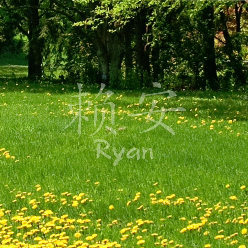 Chinese Name Symbols "Ryan"