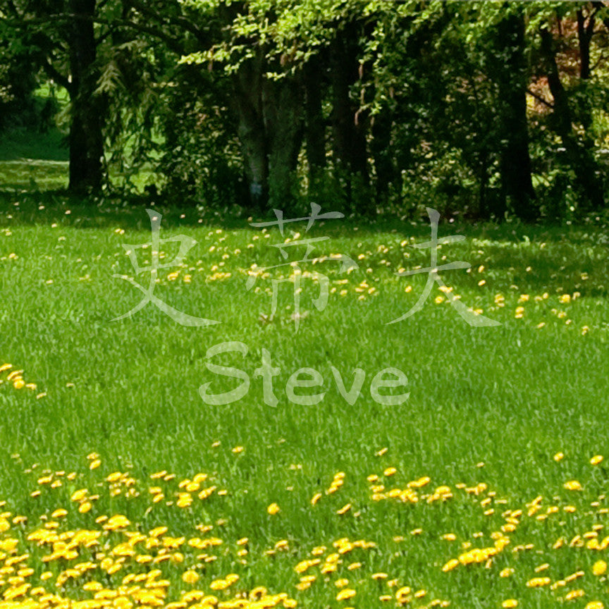 Chinese Name Symbols "Steve"