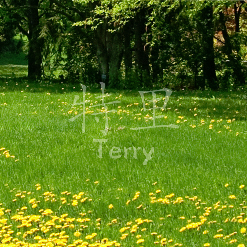 Chinese Name Symbols "Terry"
