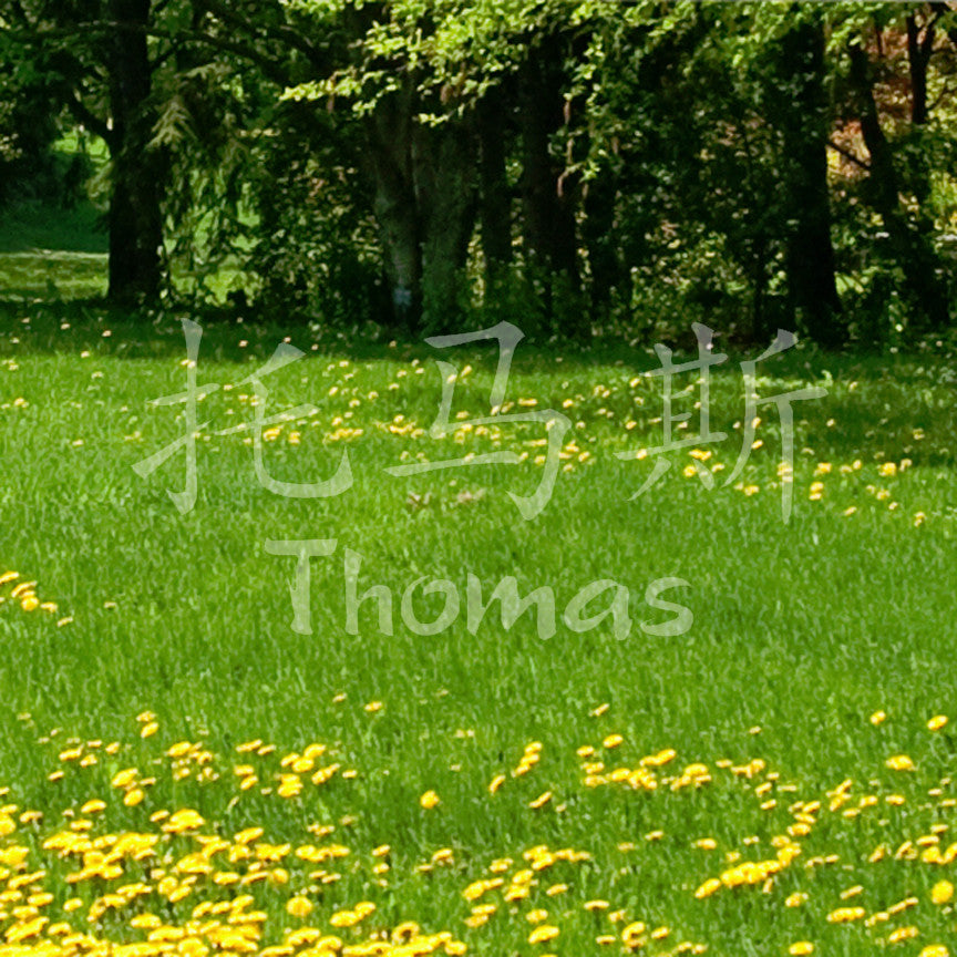 Chinese Name Symbols "Thomas"
