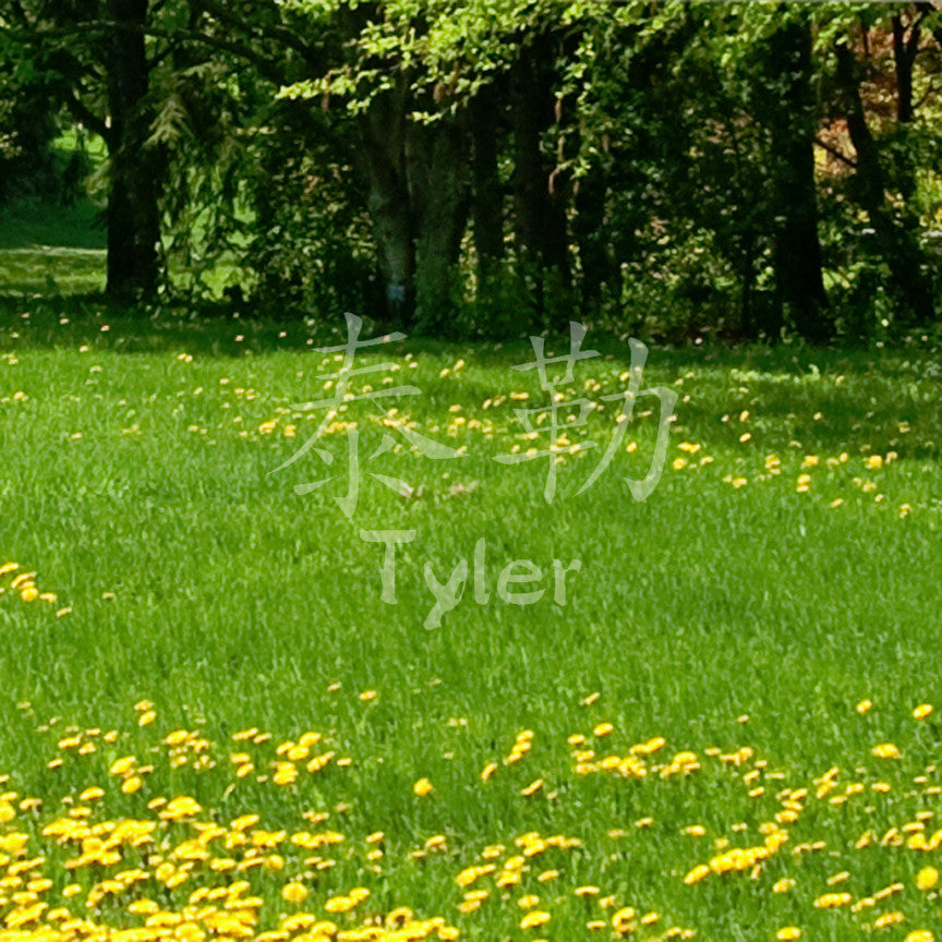 Chinese Name Symbols "Tyler"