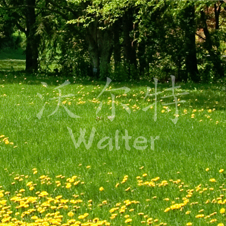 Chinese Name Symbols "Walter"