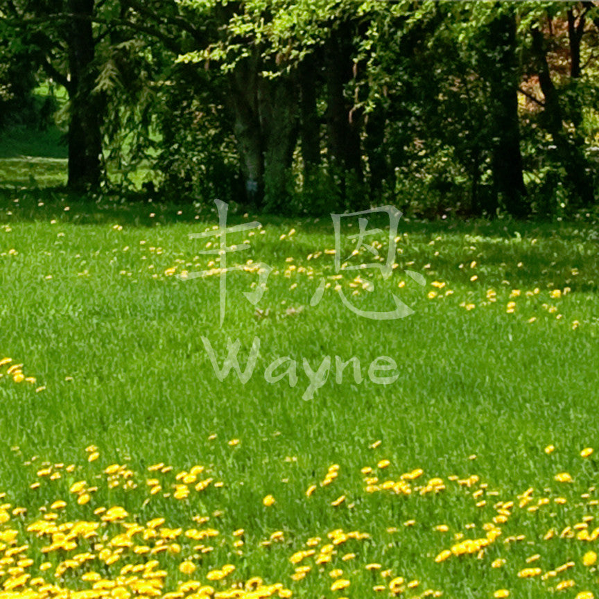 Chinese Name Symbols "Wayne"
