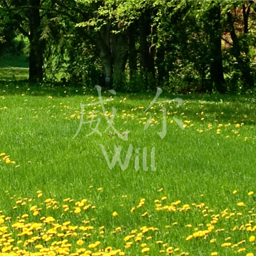 Chinese Name Symbols "Will"