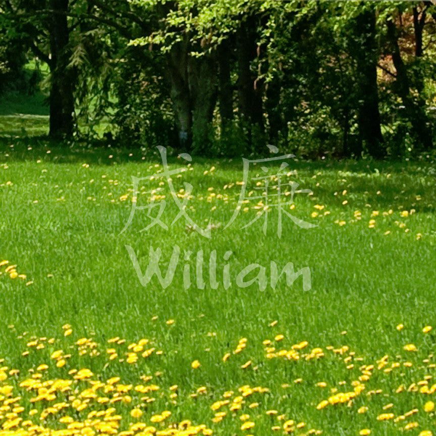 Chinese Name Symbols "William"