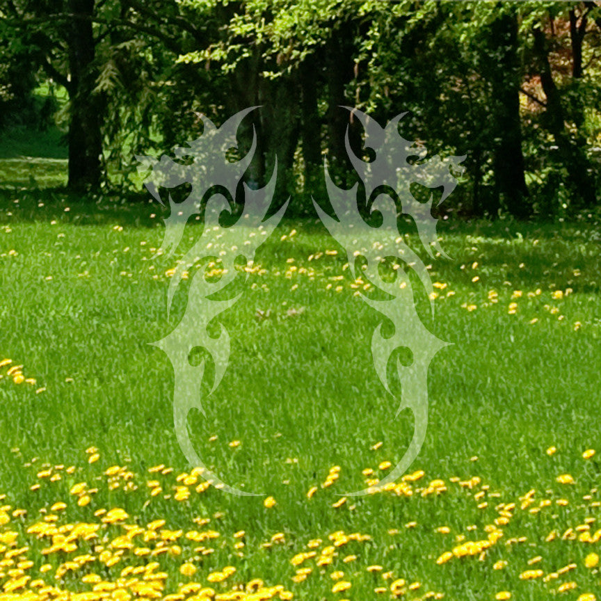 Pair of Tribal Dragons