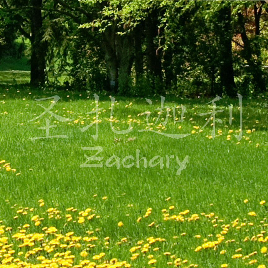 Chinese Name Symbols "Zachary"