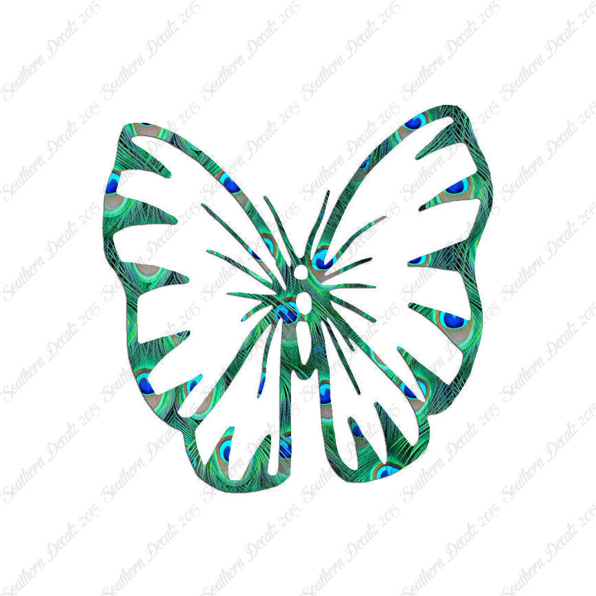 Butterfly Moth Insect