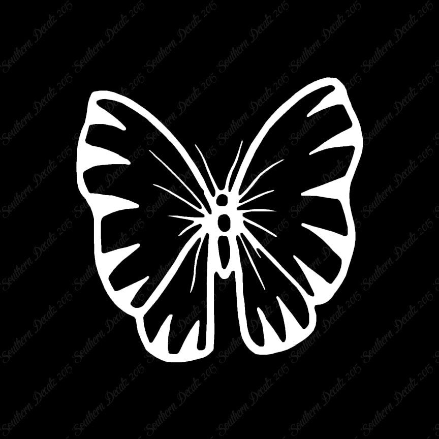 Butterfly Moth Insect