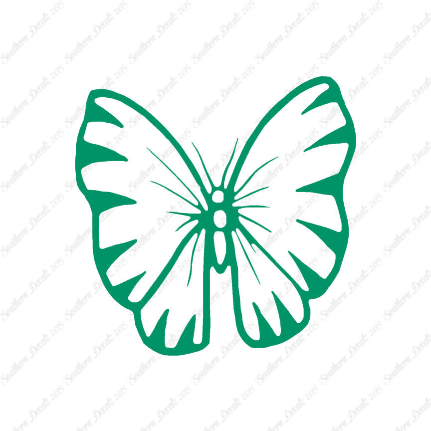 Butterfly Moth Insect