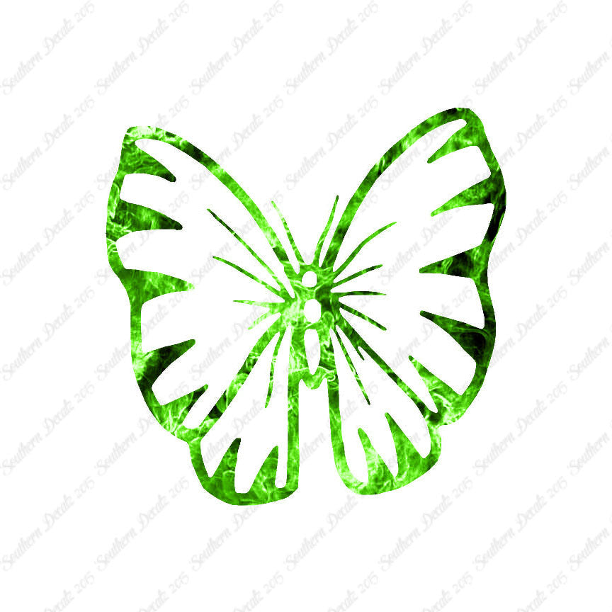 Butterfly Moth Insect