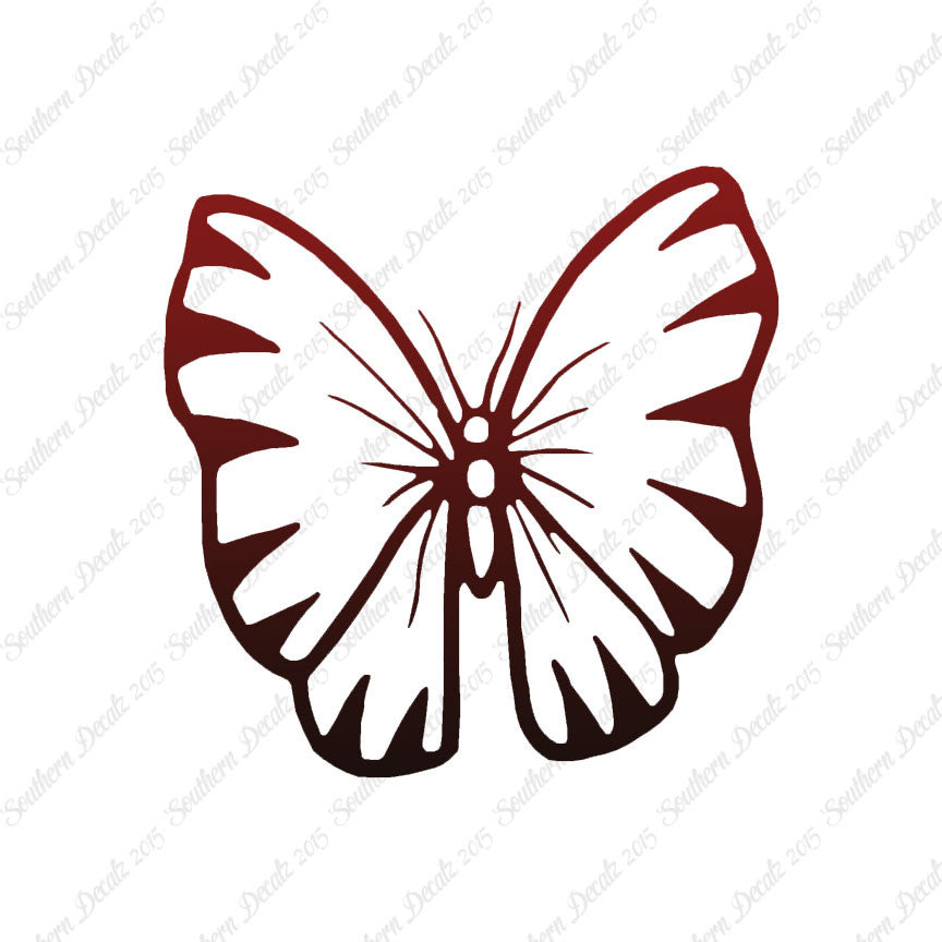 Butterfly Moth Insect