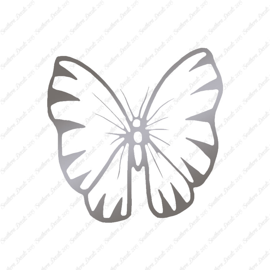 Butterfly Moth Insect