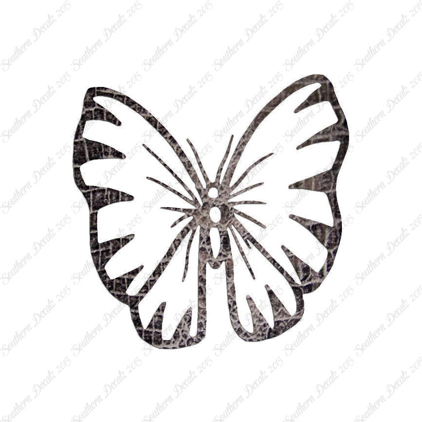 Butterfly Moth Insect