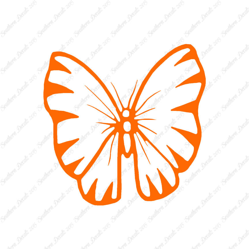 Butterfly Moth Insect