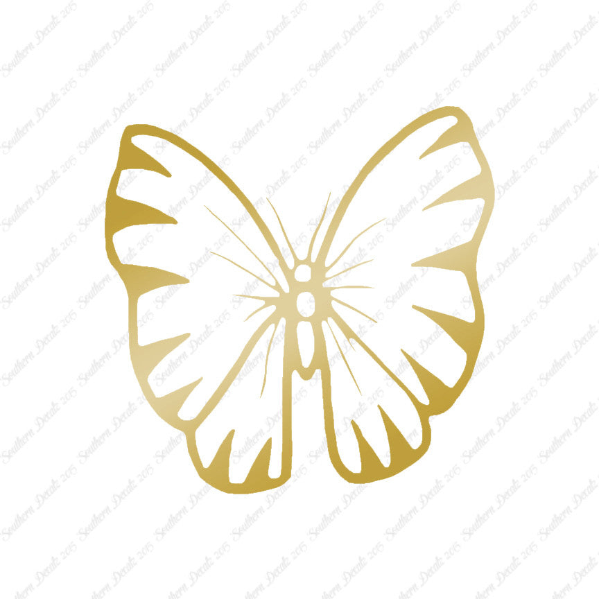 Butterfly Moth Insect