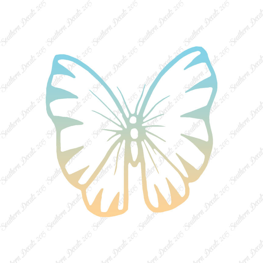 Butterfly Moth Insect