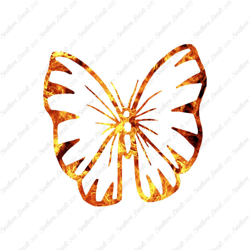 Butterfly Moth Insect