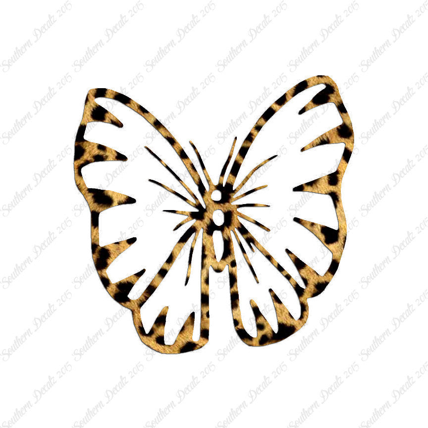 Butterfly Moth Insect
