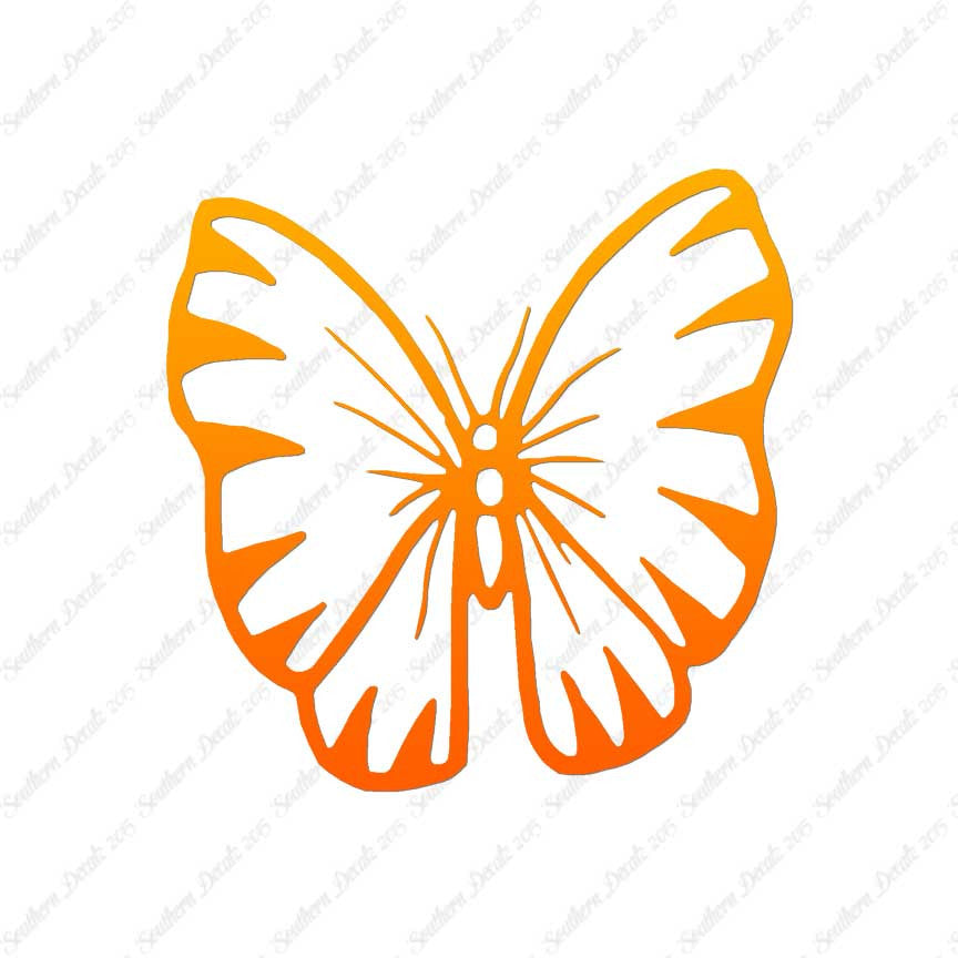 Butterfly Moth Insect