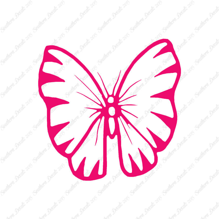 Butterfly Moth Insect