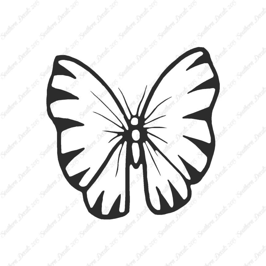 Butterfly Moth Insect