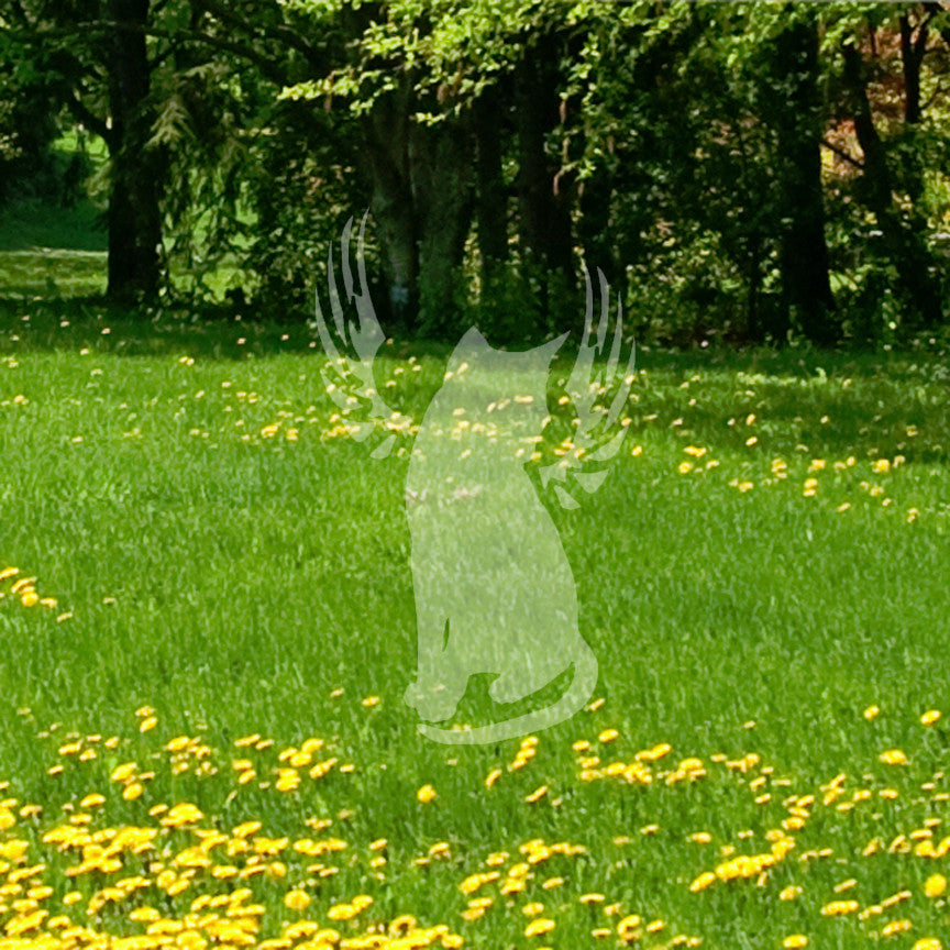Angel Cat Memorial Wings