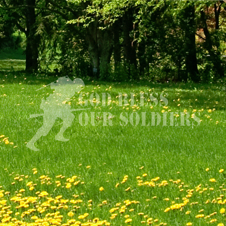 God Bless Our Soldiers