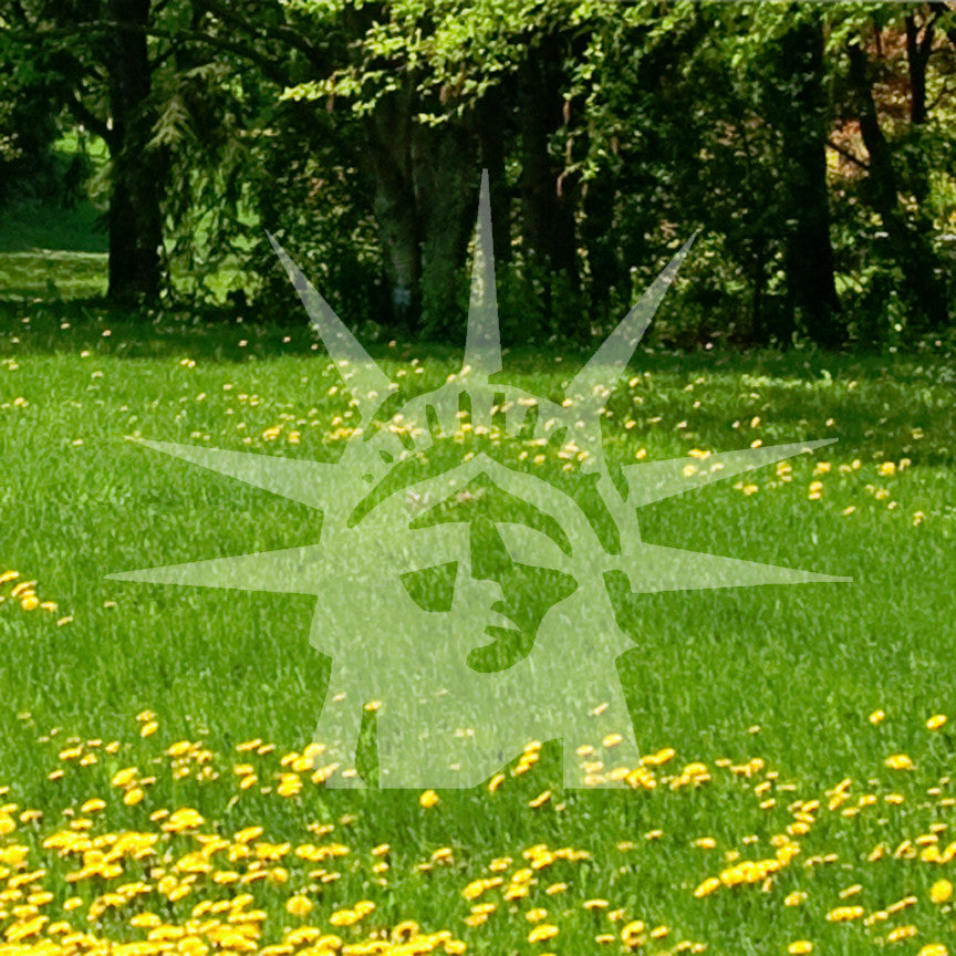 Statue Of Liberty Head